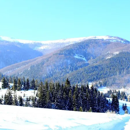 Grand Pylypets Pilipets