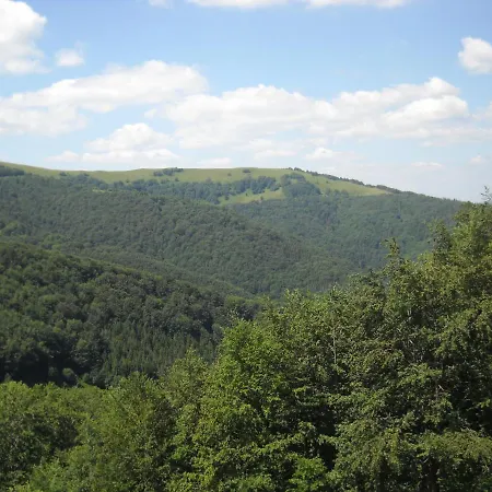 Отель гранд Пилипец